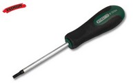 Torx screwdriver